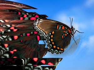 LP_The Next Sales & Operations Planning Paradigm Webinar