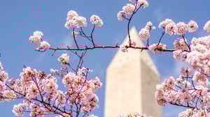 Meet us at Softeon Fulfill