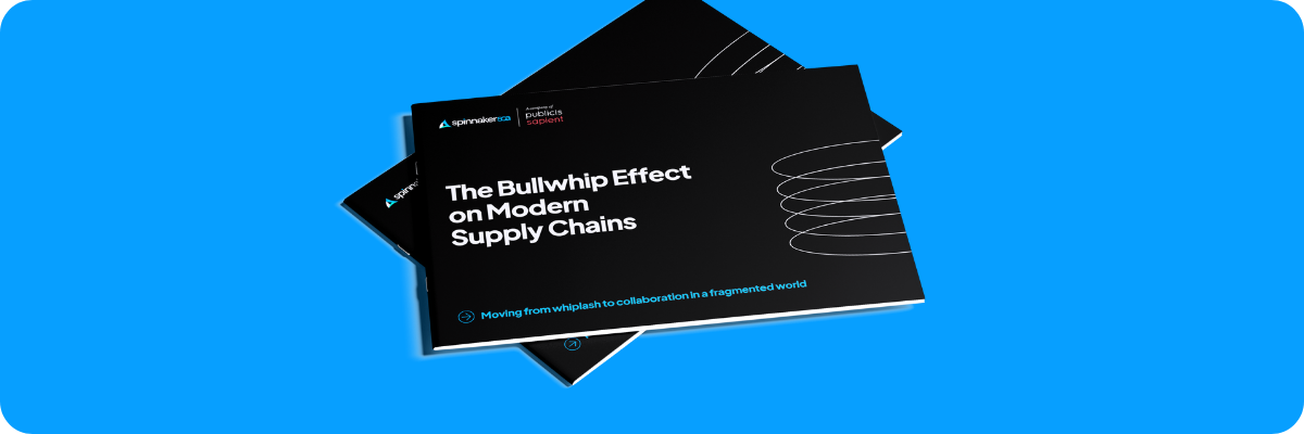 The Bullwhip Effect on Supply Chains